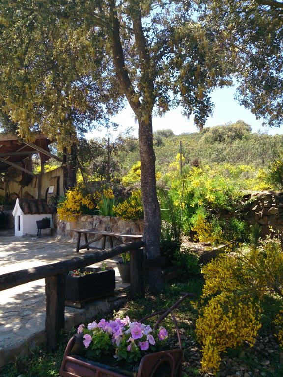 Valdolazaro Guest House Los Navalucillos Exterior foto